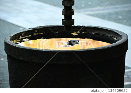 雨あがりの古寺 134509622