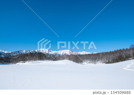 中山高原・スノートレッキング （北アルプスの眺め） 134509888