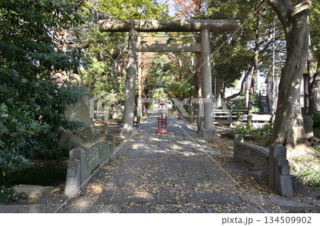 越谷散歩・久伊豆神社（越谷総鎮守）参道　越谷市越ヶ谷 134509902