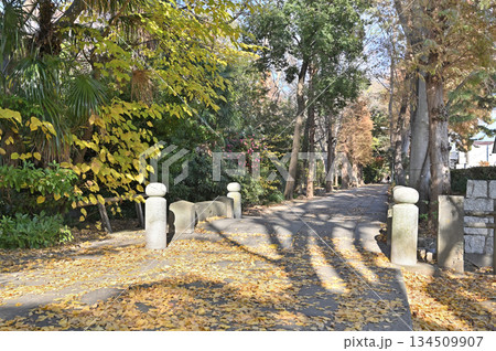 越谷散歩・久伊豆神社（越谷総鎮守）参道　越谷市越ヶ谷 134509907