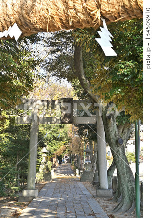 越谷散歩・久伊豆神社（越谷総鎮守）参道　越谷市越ヶ谷 134509910