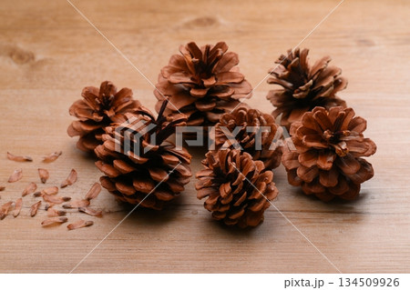 松ぼっくり、まつぼっくり、マツボックリ、松毬と種・タネ。 松ぼっくり、まつぼっくり、マツボックリ、松毬と種・タネ。 134509926