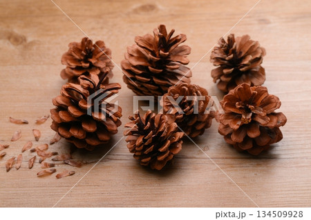 松ぼっくり、まつぼっくり、マツボックリ、松毬と種・タネ。 松ぼっくり、まつぼっくり、マツボックリ、松毬と種・タネ。 134509928
