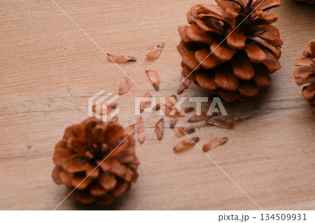 松ぼっくり、まつぼっくり、マツボックリ、松毬と種・タネ。 134509931