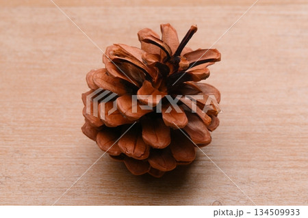 松ぼっくり、まつぼっくり、マツボックリ、松毬と種・タネ。 134509933