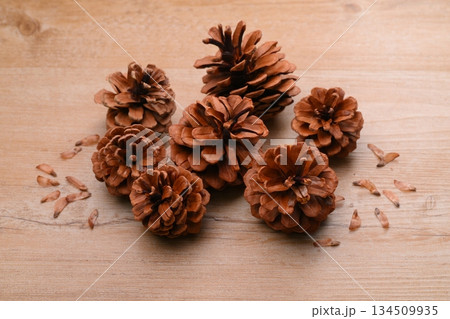 松ぼっくり、まつぼっくり、マツボックリ、松毬と種・タネ。 134509935