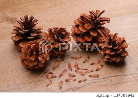 松ぼっくり、まつぼっくり、マツボックリ、松毬と種・タネ。 134509942