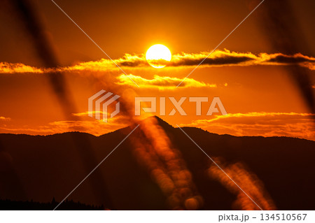 良く晴れた師走の夕焼け空で曽爾の山並みへ沈んでいく夕日と黄金色に輝くすすきの穂 曽爾高原にて➃ 良く晴れた師走の夕焼け空で曽爾の山並みへ沈んでいく夕日と黄金色に輝くすすきの穂 曽爾高原にて➃ 134510567