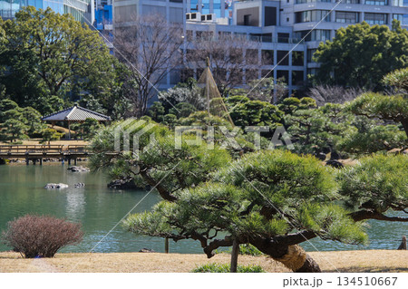 都会に広がる日本庭園 松と池が美しい旧芝離宮恩賜庭園の風景 都会に広がる日本庭園 松と池が美しい旧芝離宮恩賜庭園の風景 134510667