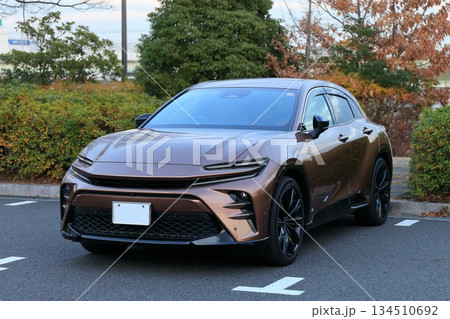 国産スポーツカー 134510692