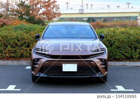 国産スポーツカー 134510693