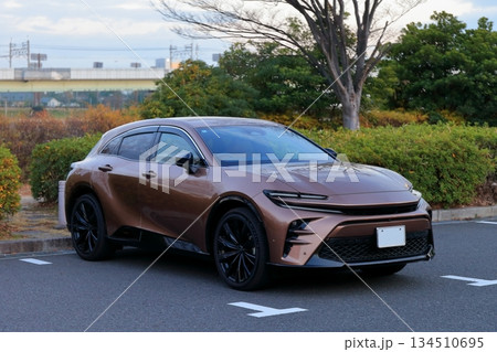 国産スポーツカー 134510695
