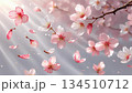桜の花びらがひらひら舞い落ちるモーション風 134510712