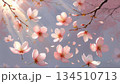 桜の花びらがひらひら舞い落ちるモーション風 134510713