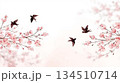 飛翔する鳥と桜の花 134510714