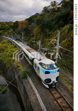 秋の鉄道風景「きのくに線」特急くろしお 秋の鉄道風景「きのくに線」特急くろしお 134510855
