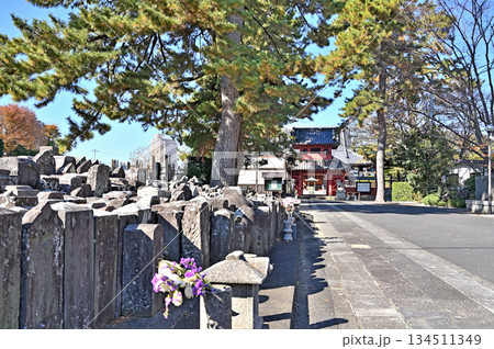 越谷散歩・浄土宗 天嶽寺 越谷市越ヶ谷 越谷散歩・浄土宗 天嶽寺 越谷市越ヶ谷 134511349