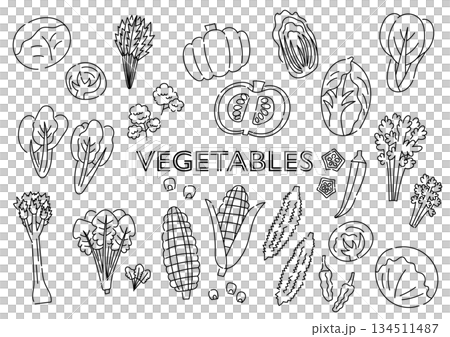 Black and white vegetable hand drawn illustration set 134511487