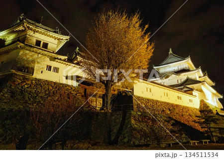 秋の和歌山城の景色(和歌山県) 秋の和歌山城の景色(和歌山県) 134511534