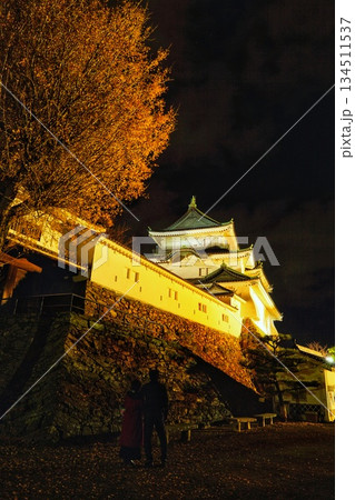 秋の和歌山城の景色(和歌山県) 秋の和歌山城の景色(和歌山県) 134511537