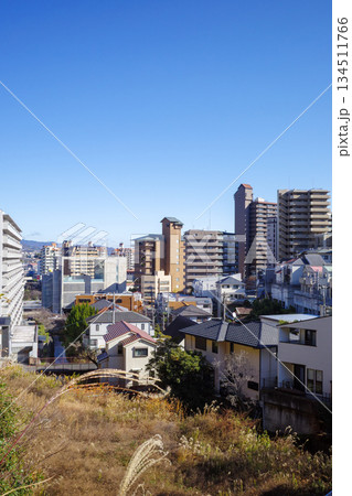 宝塚　遠景 134511766