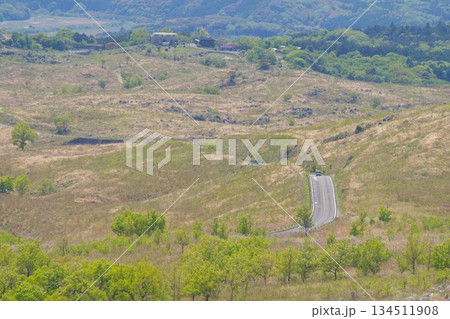 2025年春の枯れ草が残る秋吉台 北山山頂からの眺め 2025年春の枯れ草が残る秋吉台 北山山頂からの眺め 134511908