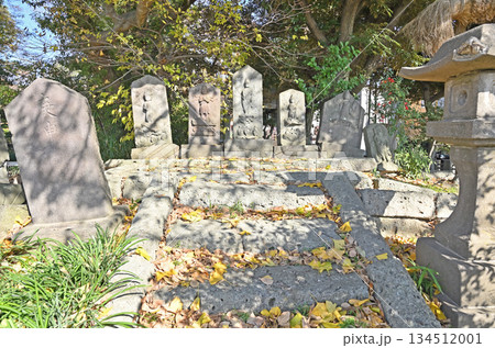 越谷散歩・浄土宗 天嶽寺　天嶽寺石塔群　越谷市越ヶ谷 134512001