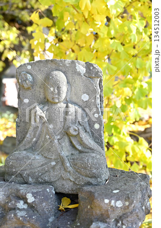 越谷散歩・浄土宗 天嶽寺 天嶽寺石塔群 越谷市越ヶ谷 越谷散歩・浄土宗 天嶽寺 天嶽寺石塔群 越谷市越ヶ谷 134512003