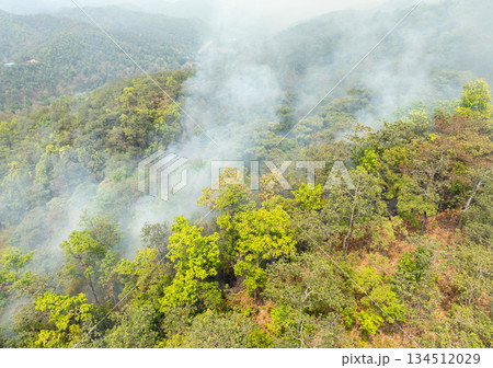 Wildfires release carbon dioxide (CO2) emissions and other greenhouse gases (GHG) that contribute to climate change. 134512029