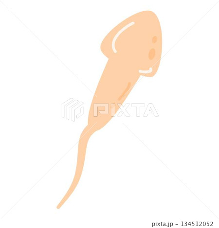 Sperm Cells Fertilizing an Egg Cell illustration Sperm Cells Fertilizing an Egg Cell illustration 134512052