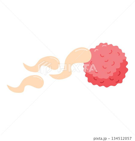 Spermatozoons, floating to ovule Spermatozoons, floating to ovule 134512057