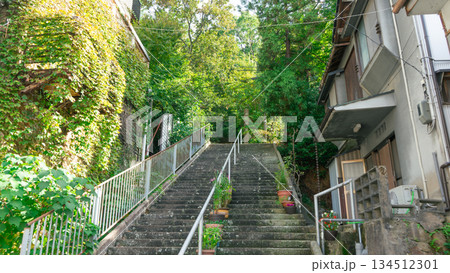 住宅街の植物の緑に囲まれた生活感のある階段 住宅街の植物の緑に囲まれた生活感のある階段 134512301