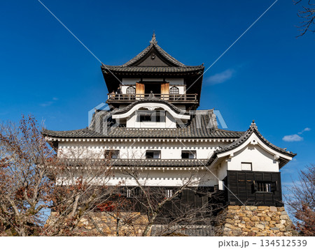 晩秋の犬山城 134512539