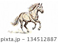 水彩風風を切り走る馬  134512887