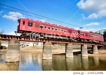 大池遊園(貴志川線・うめ星電車)　【和歌山県紀の川市】 134512996