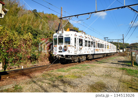 大池遊園駅近く(貴志川線・たま電車)　【和歌山県紀の川市】 134513026