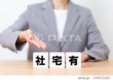 社宅有のブロックとスーツを着たミドル女性ビジネスウーマン 134513267