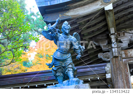 大雄山最乗寺の紅葉風景 大雄山最乗寺の紅葉風景 134513422