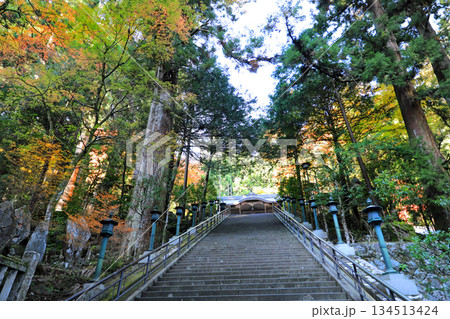 大雄山最乗寺の紅葉風景 大雄山最乗寺の紅葉風景 134513424