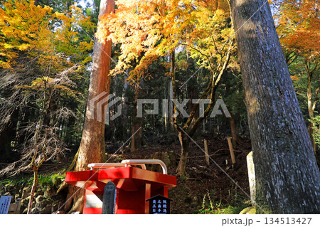 大雄山最乗寺の紅葉風景 大雄山最乗寺の紅葉風景 134513427