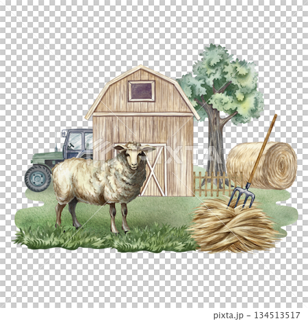 Farmyard. Hand-drawn watercolor illustration. Sheep in an agricultural yard, barn, hay, and tractor. Concept of the agricultural and livestock industry. Design element for banners, labels, postcards. 134513517