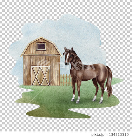 Farmyard. Hand-drawn watercolor illustration. Barn and horse. Concept of the agricultural industry. Design element for banners, labels, postcards, and more Farmyard. Hand-drawn watercolor illustration. Barn and horse. Concept of the agricultural industry. Design element for banners, labels, postcards, and more 134513519