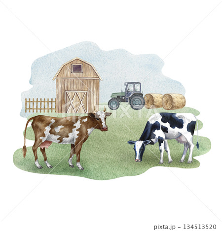Farmyard. Hand-drawn watercolor illustration. Grazing cows on a farm. Concept of the livestock industry. Design element for banners, labels, postcards, and more. Farmyard. Hand-drawn watercolor illustration. Grazing cows on a farm. Concept of the livestock industry. Design element for banners, labels, postcards, and more. 134513520