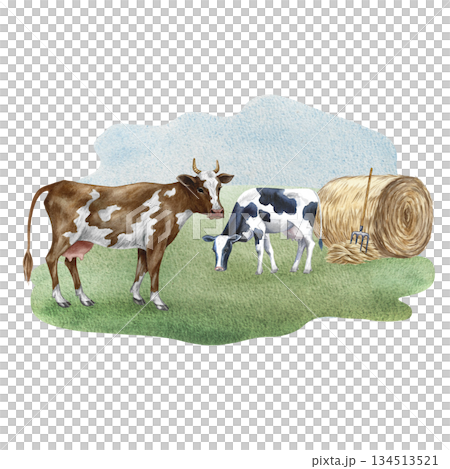 Grazing cows in a field. Hand-drawn watercolor illustration. Perfect for dairy farms or agricultural projects. Also suitable for labels, packaging, banners, and more. Grazing cows in a field. Hand-drawn watercolor illustration. Perfect for dairy farms or agricultural projects. Also suitable for labels, packaging, banners, and more. 134513521