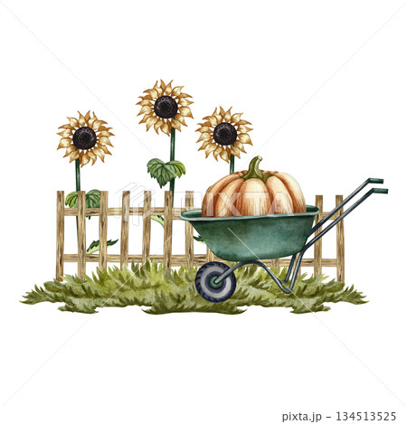 A large pumpkin on a wheelbarrow, a wooden fence, and sunflowers. Hand-drawn watercolor illustration. Garden concept. Design element for banners, stickers, postcards, and more. 134513525