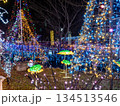 ロマンチックなクリスマスイルミネーション 134513546