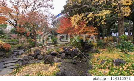 紅葉した横浜公園(彼我庭園) 紅葉した横浜公園(彼我庭園) 134513578