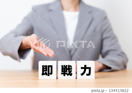 即戦力のブロックとスーツを着たミドル女性ビジネスウーマン 即戦力のブロックとスーツを着たミドル女性ビジネスウーマン 134513622