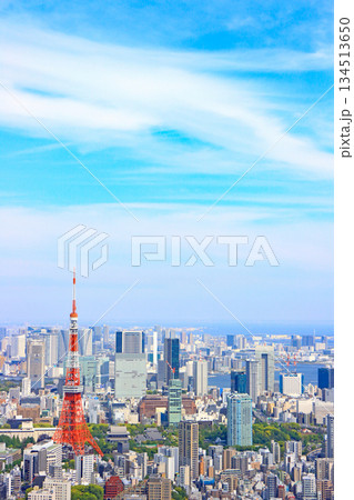東京都港区、東京タワーと東京の街並みの風景 134513650