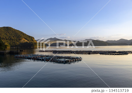 朝日に照らされる長崎県新上五島町の若松大橋と養殖いかだ 134513719
